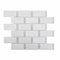 Apollo Tile Sample of White Subway With Dots  11.7"x13" Marble Mosaic Tile APLDC99R02EC14 Sample - alternate 1
